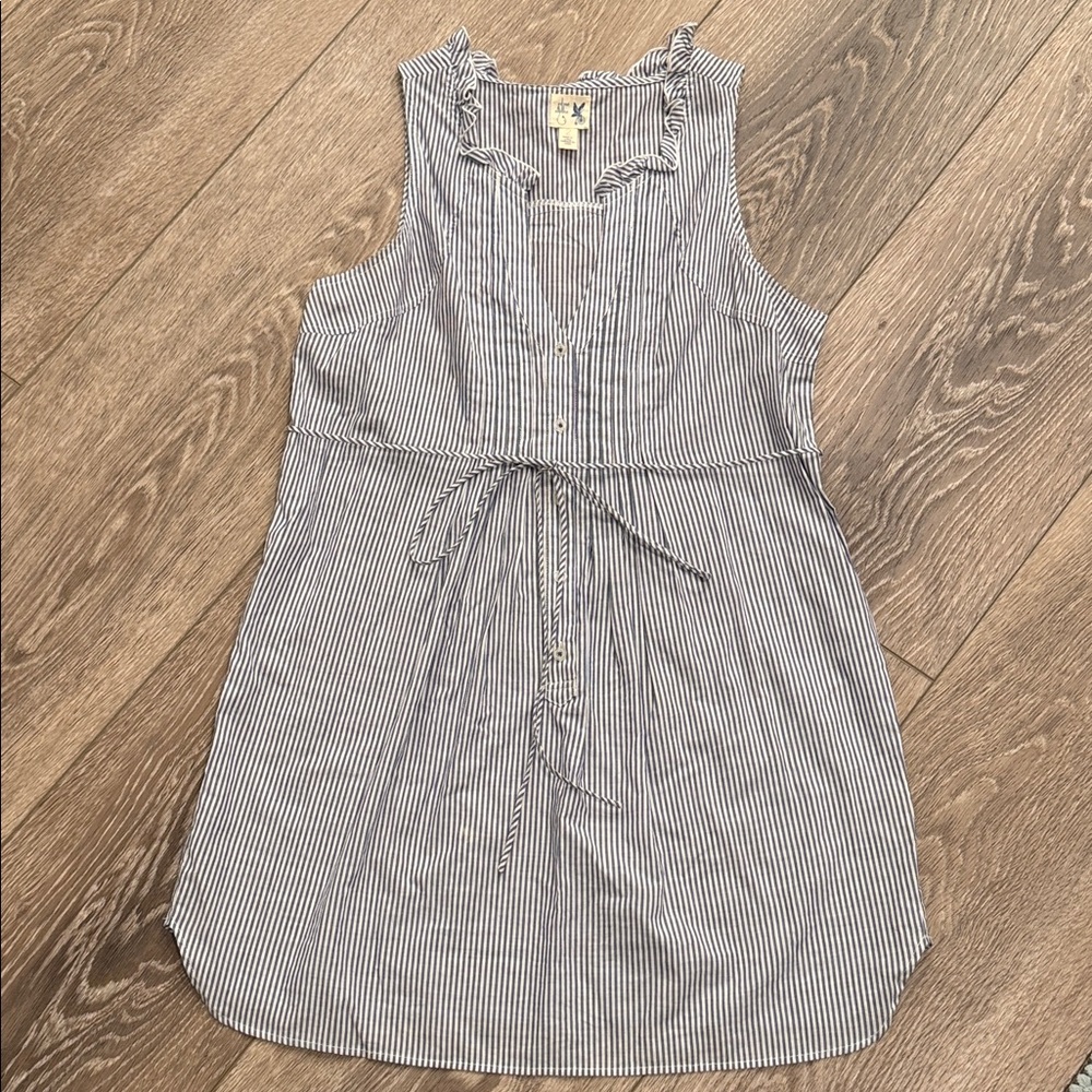 Anthropologie Blue and White Striped Dress
